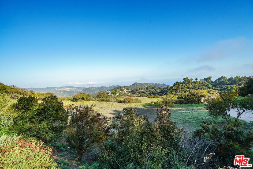 Saddle Peak photo 30