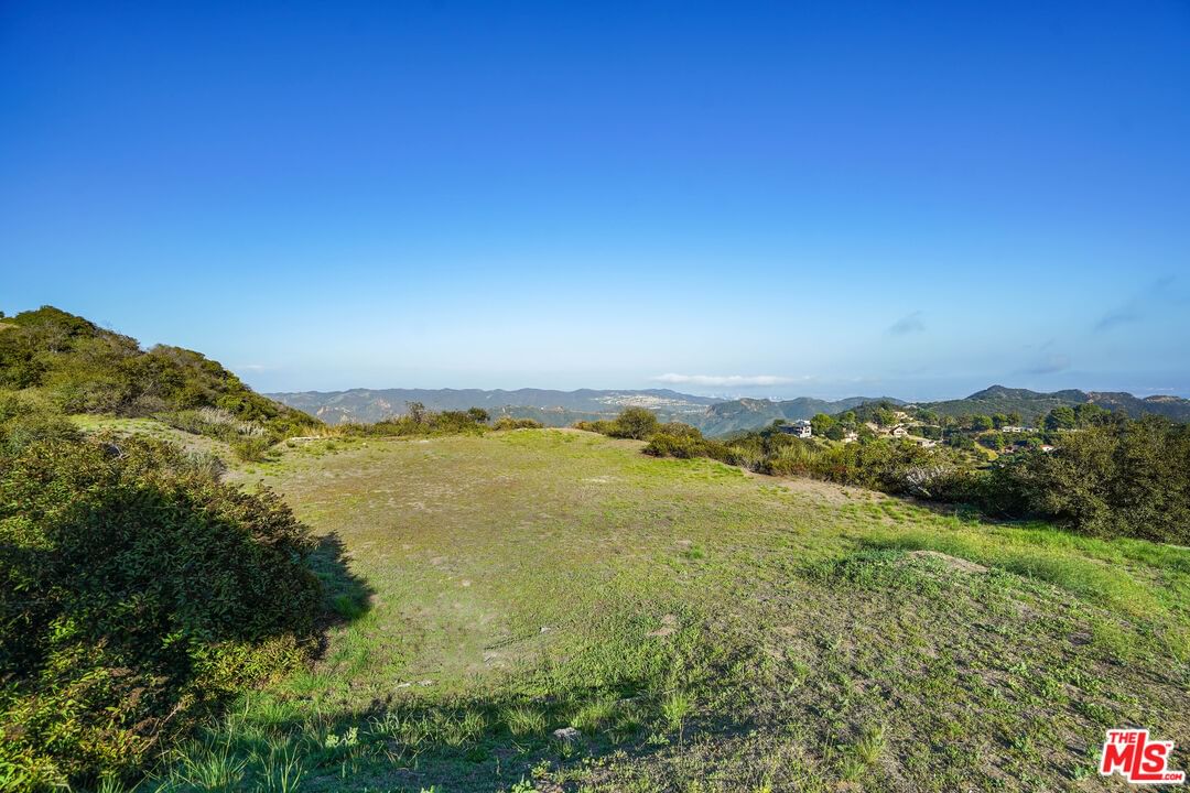 Saddle Peak photo 31