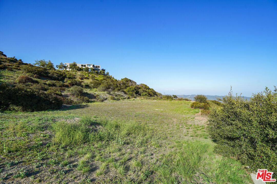 Saddle Peak photo 32