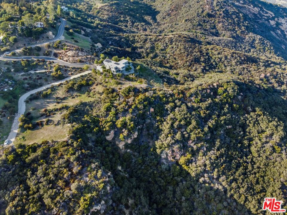 Saddle Peak photo 40