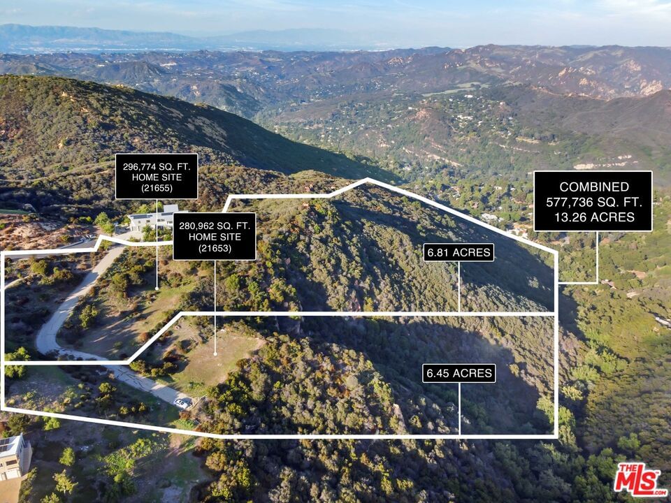 Saddle Peak photo 42
