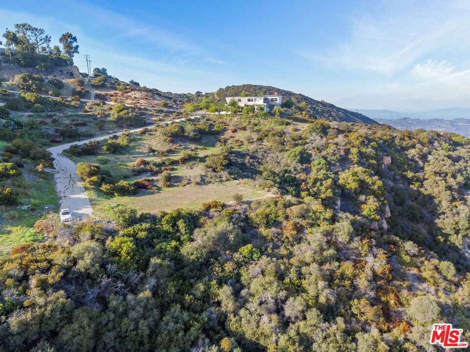 Saddle Peak photo 58