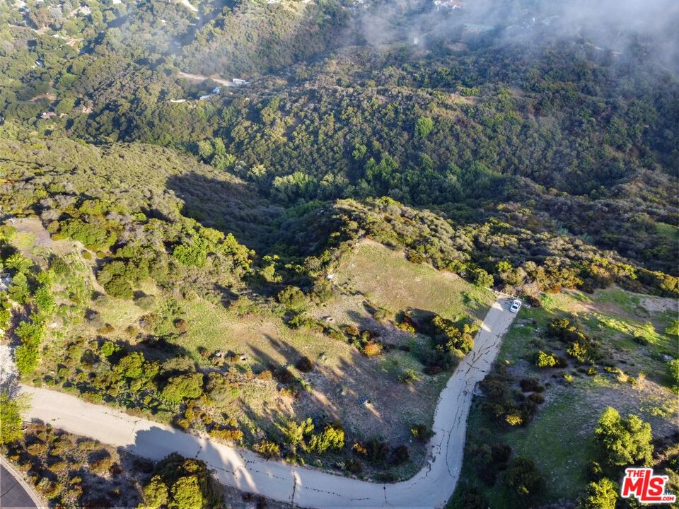 Saddle Peak photo 9