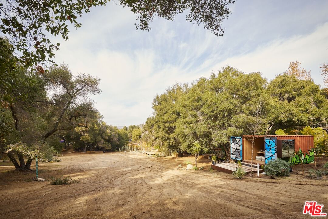 Cold Canyon photo 33