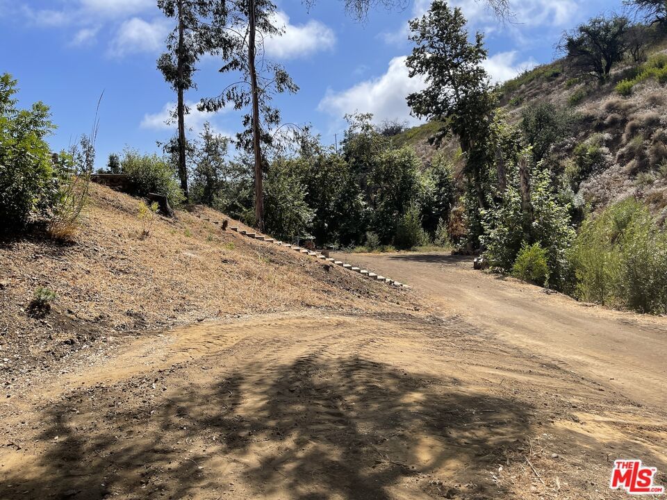 Encinal Canyon photo 11