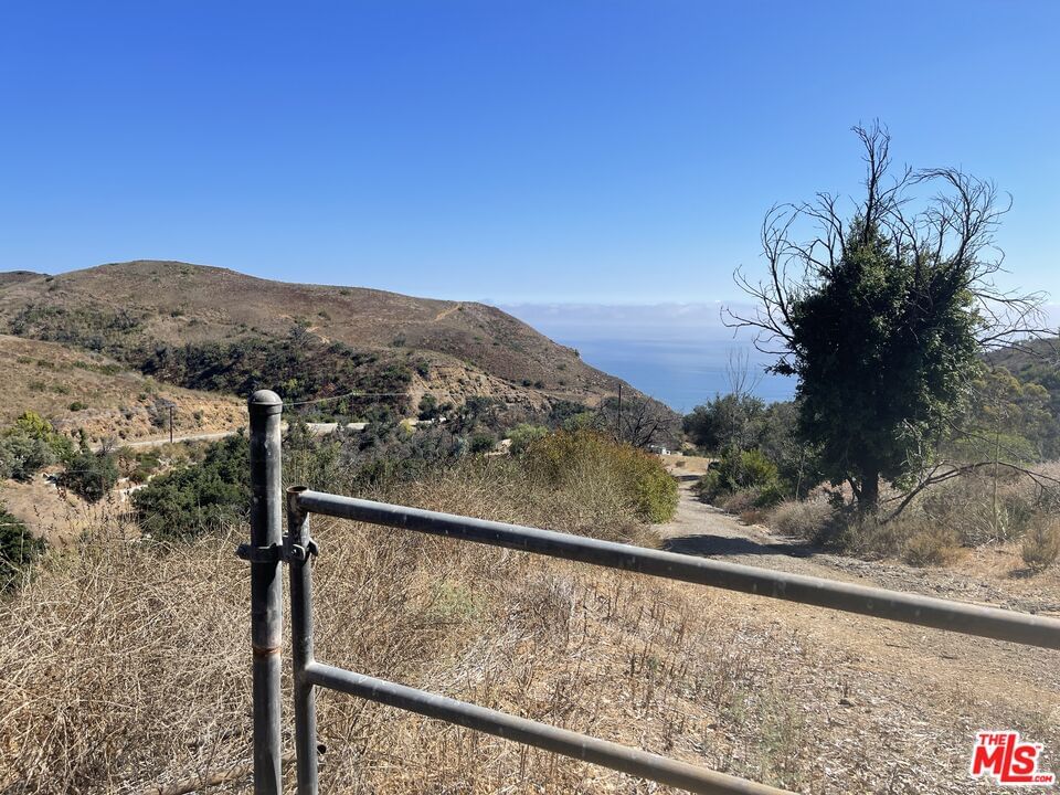 Encinal Canyon photo 13