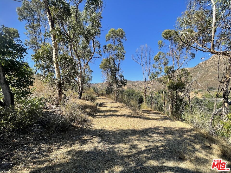 Encinal Canyon photo 16