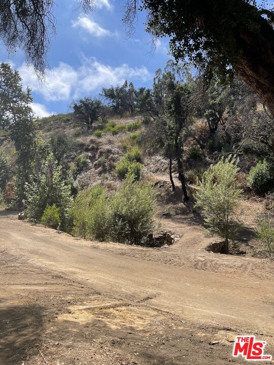 Encinal Canyon photo 17
