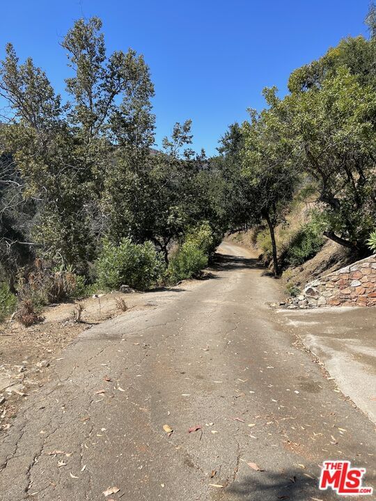 Encinal Canyon photo 18
