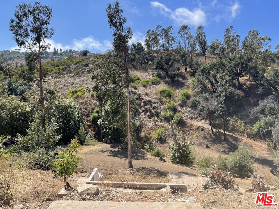 Encinal Canyon photo 19