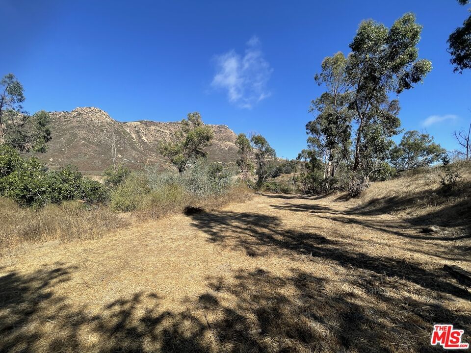 Encinal Canyon photo 20