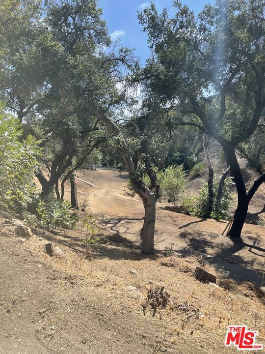 Encinal Canyon photo 23