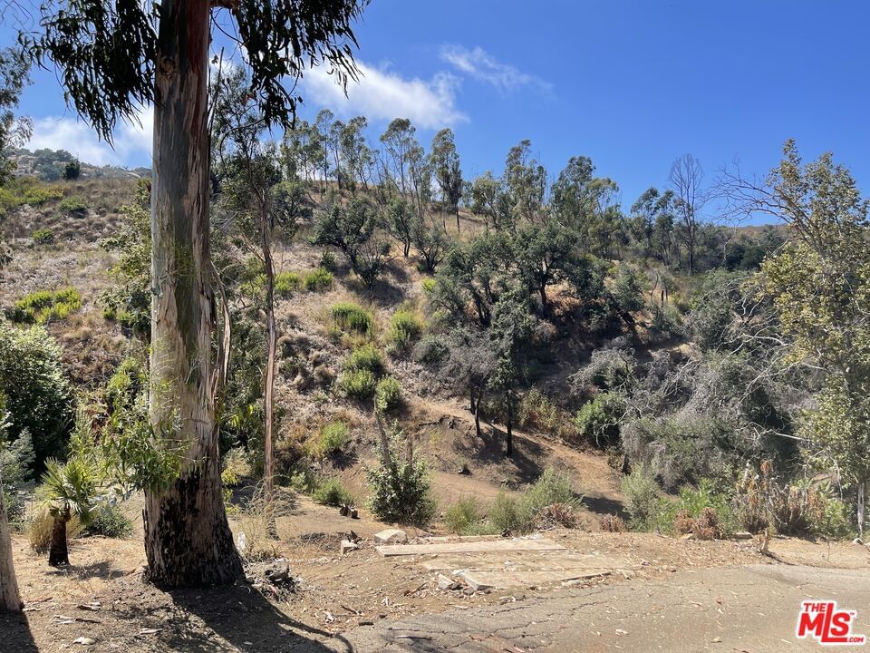 Encinal Canyon photo 24