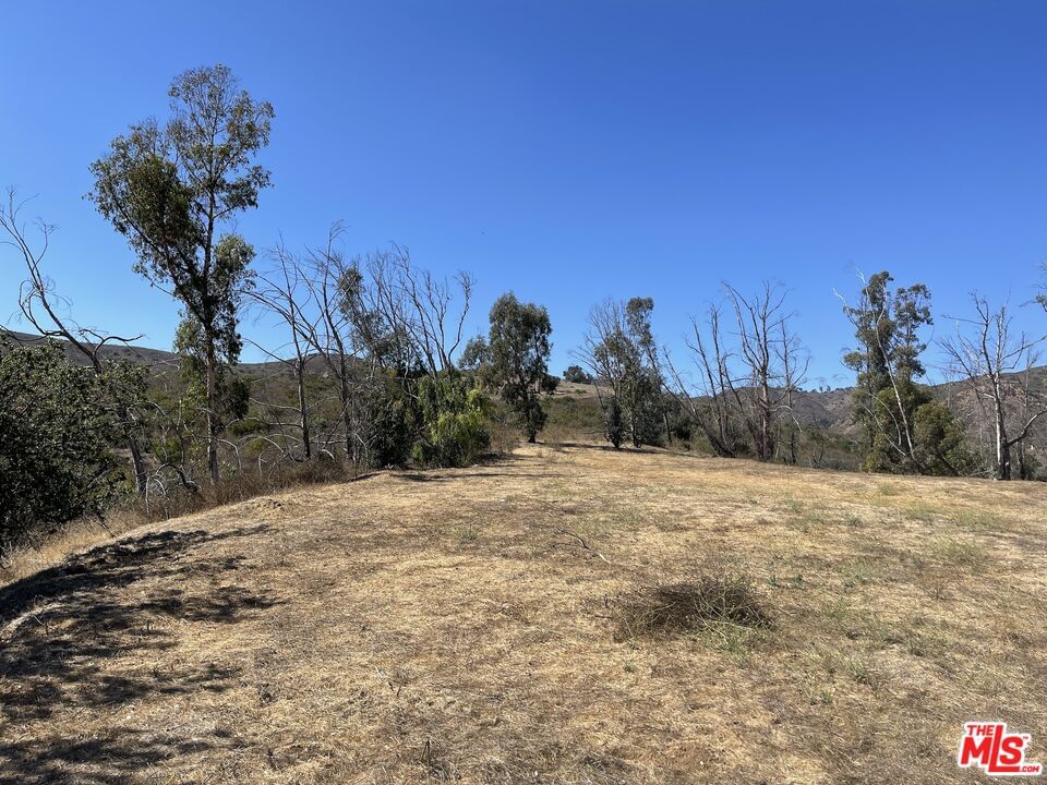 Encinal Canyon photo 25
