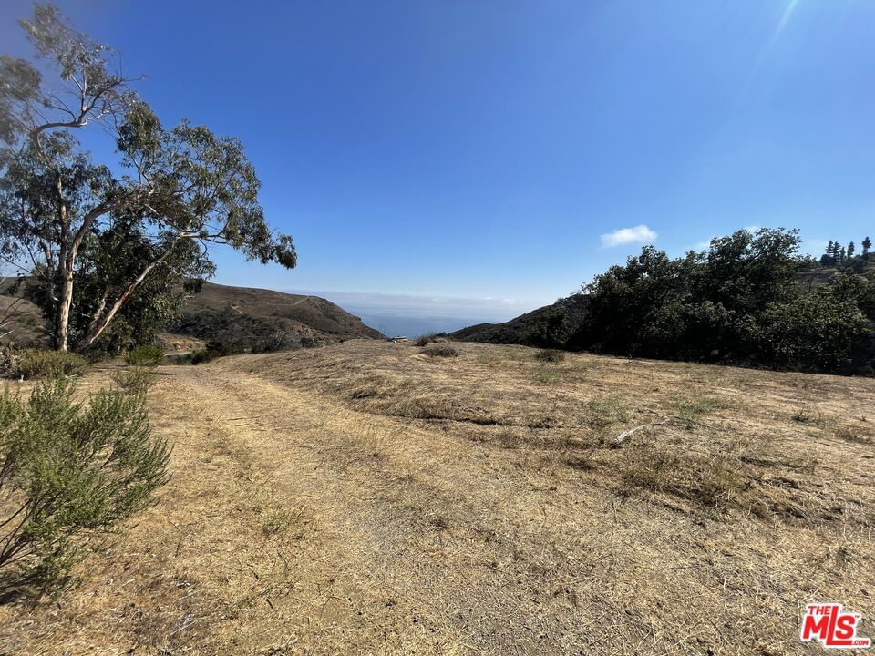 Encinal Canyon photo 3