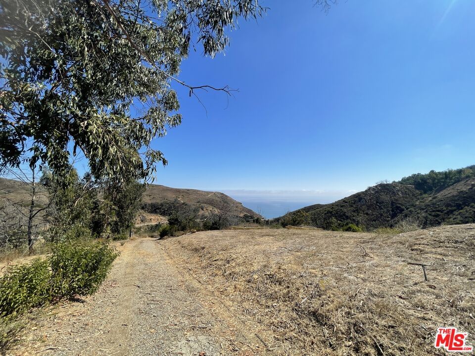 Encinal Canyon photo 5