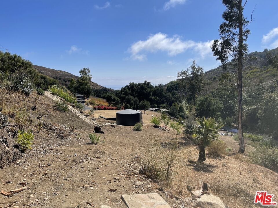 Encinal Canyon photo 8