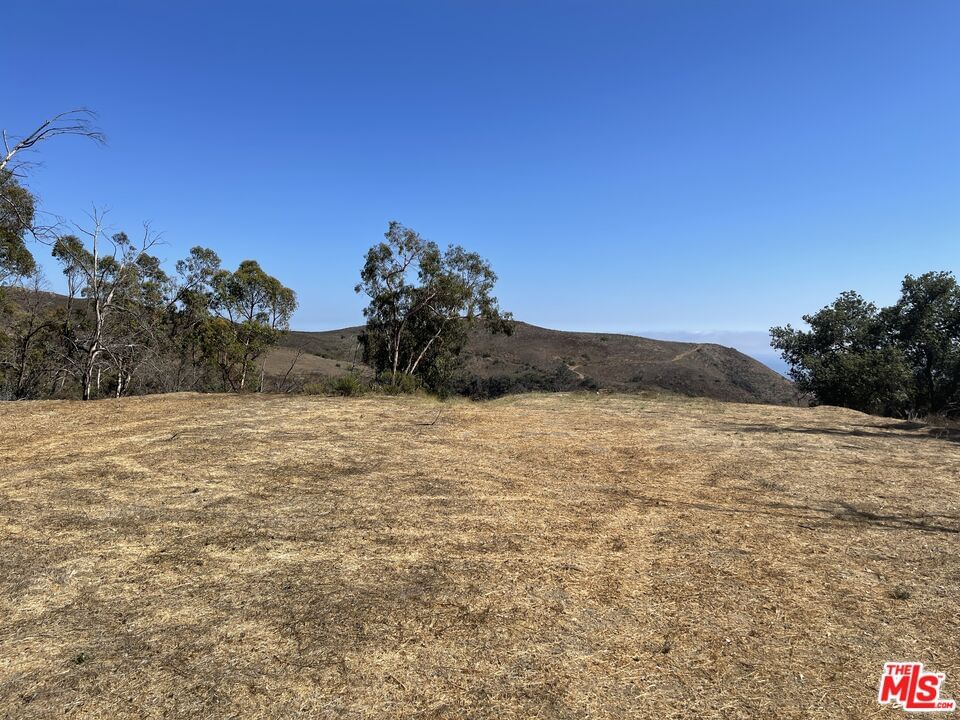 Encinal Canyon photo 9