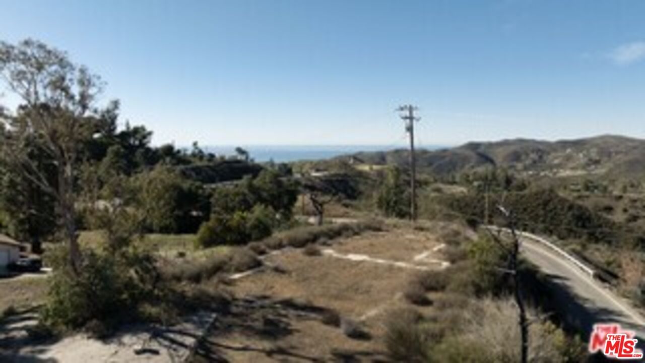 Decker photo 11