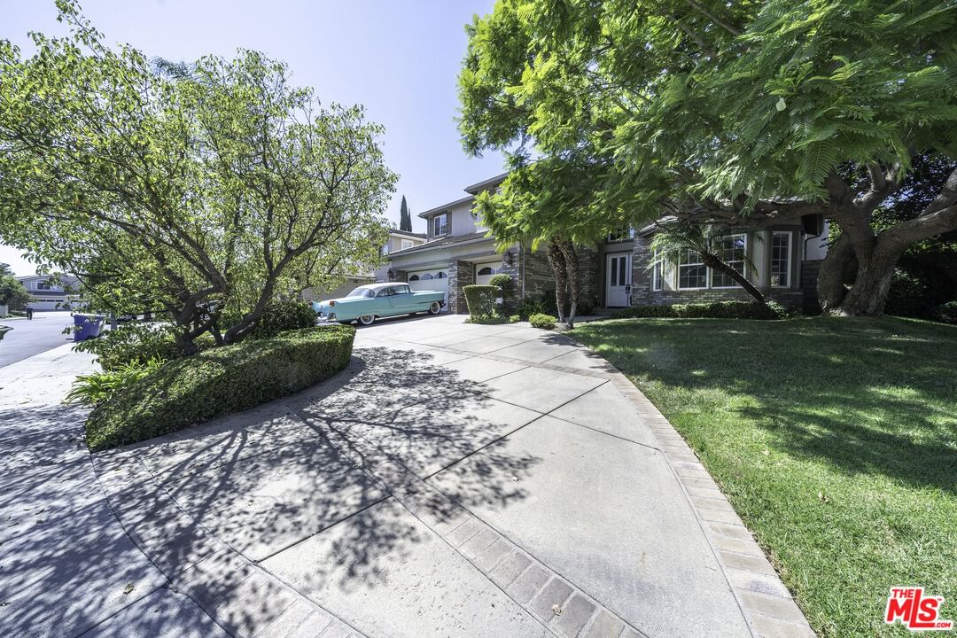 Raintree photo 5