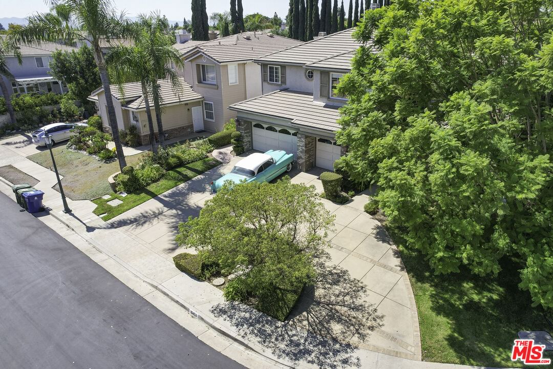 Raintree photo 59