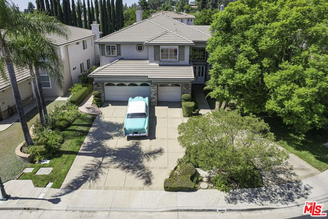 Raintree photo 60