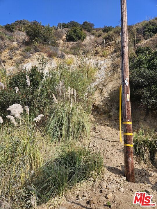 Topanga Canyon photo 5