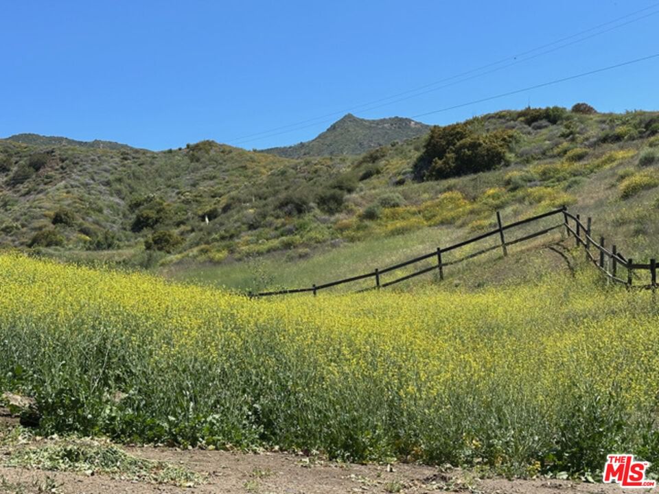 Mulholland photo 1