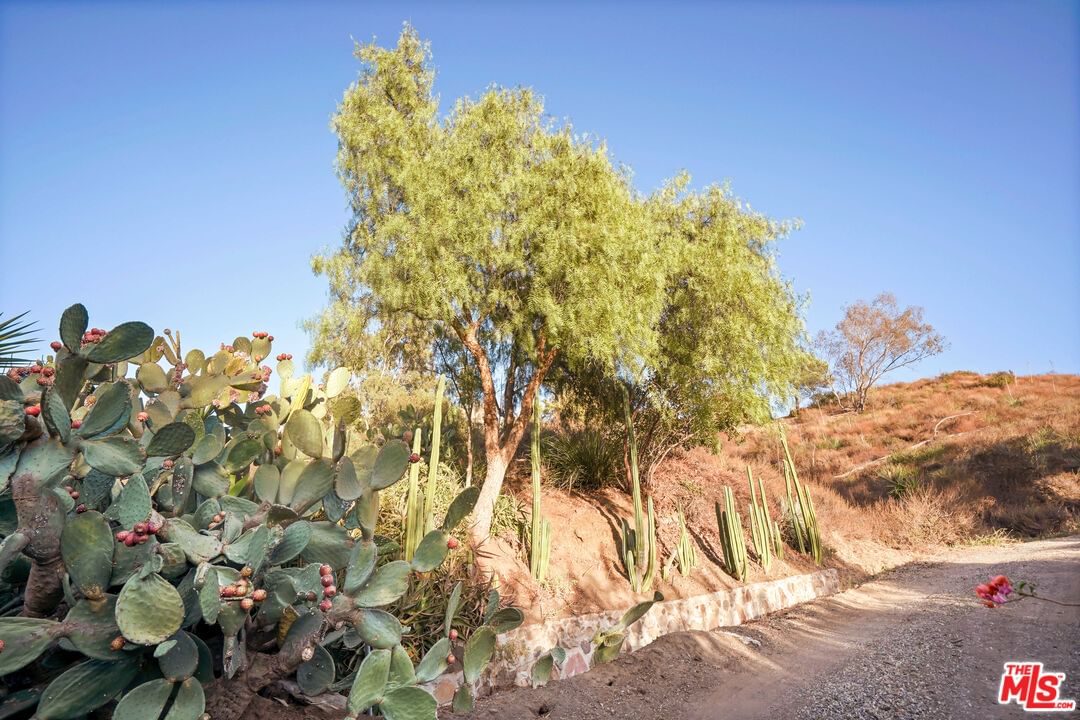 Mulholland photo 11