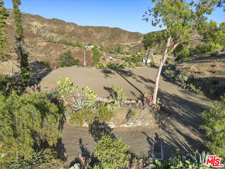 Mulholland photo 16