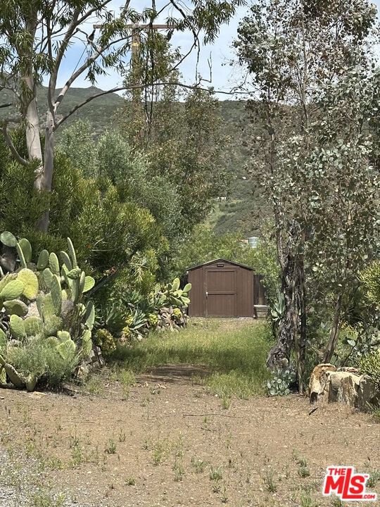 Mulholland photo 19