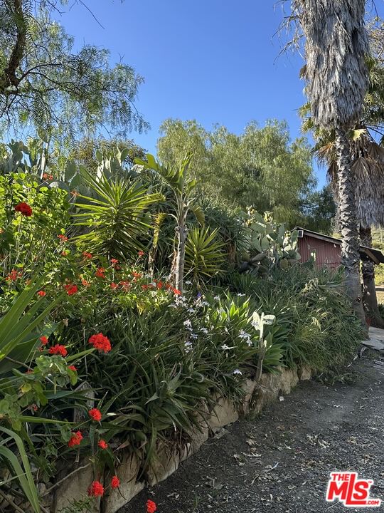 Mulholland photo 26