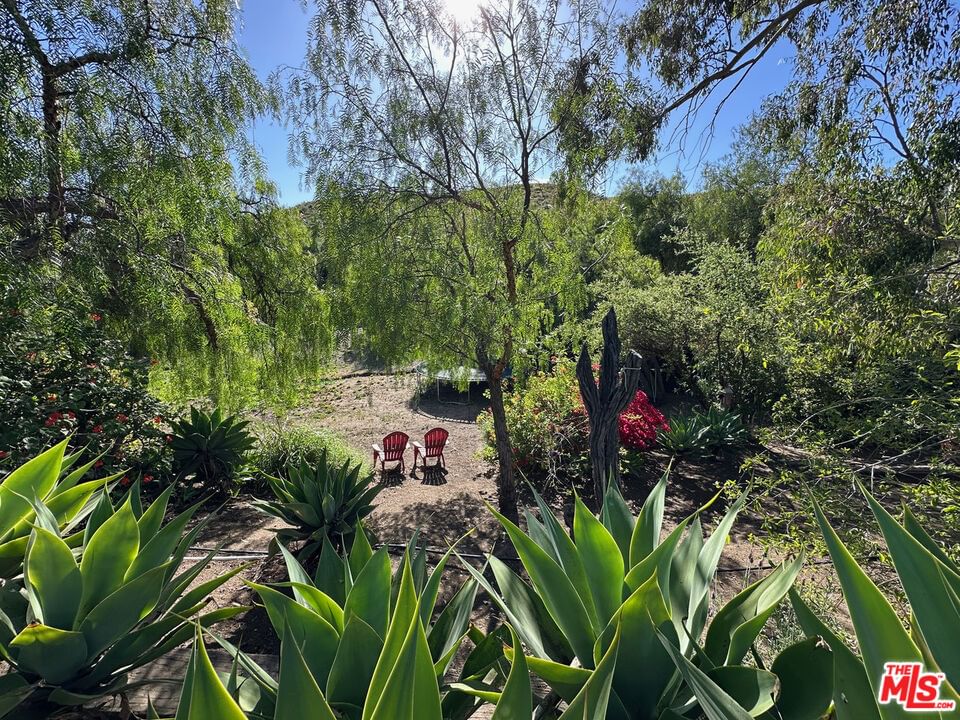 Mulholland photo 32