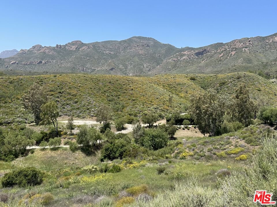 Mulholland photo 35