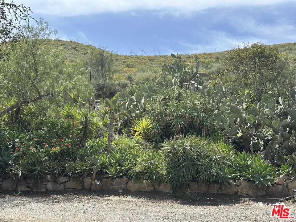 Mulholland photo 36