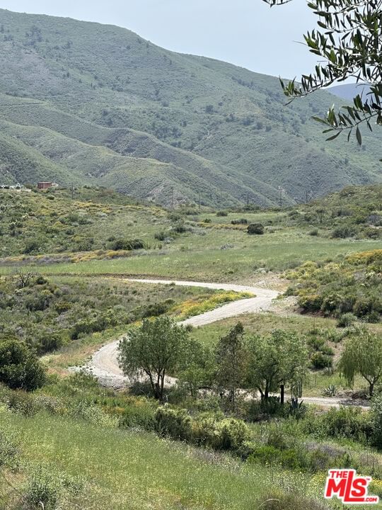 Mulholland photo 37