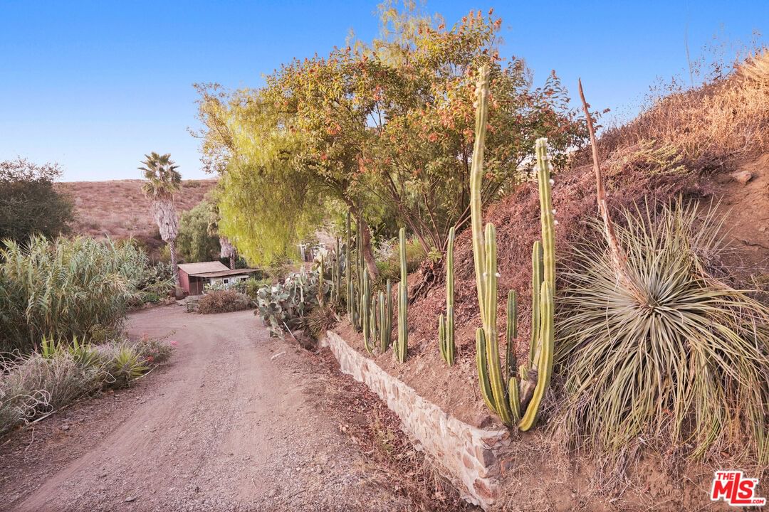 Mulholland photo 4