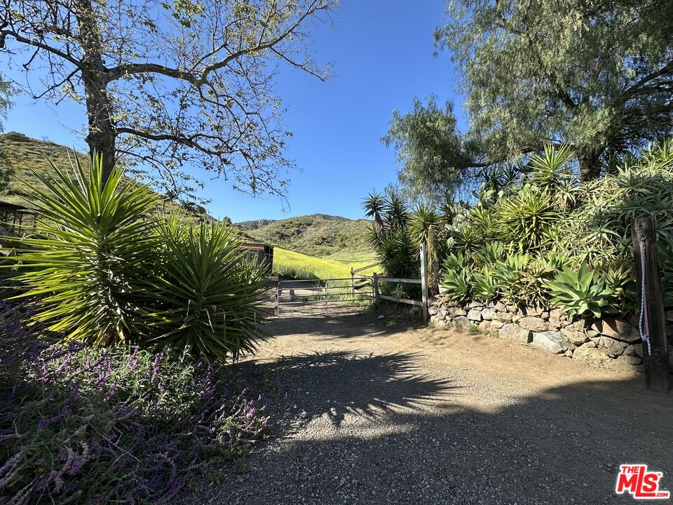 Mulholland photo 38