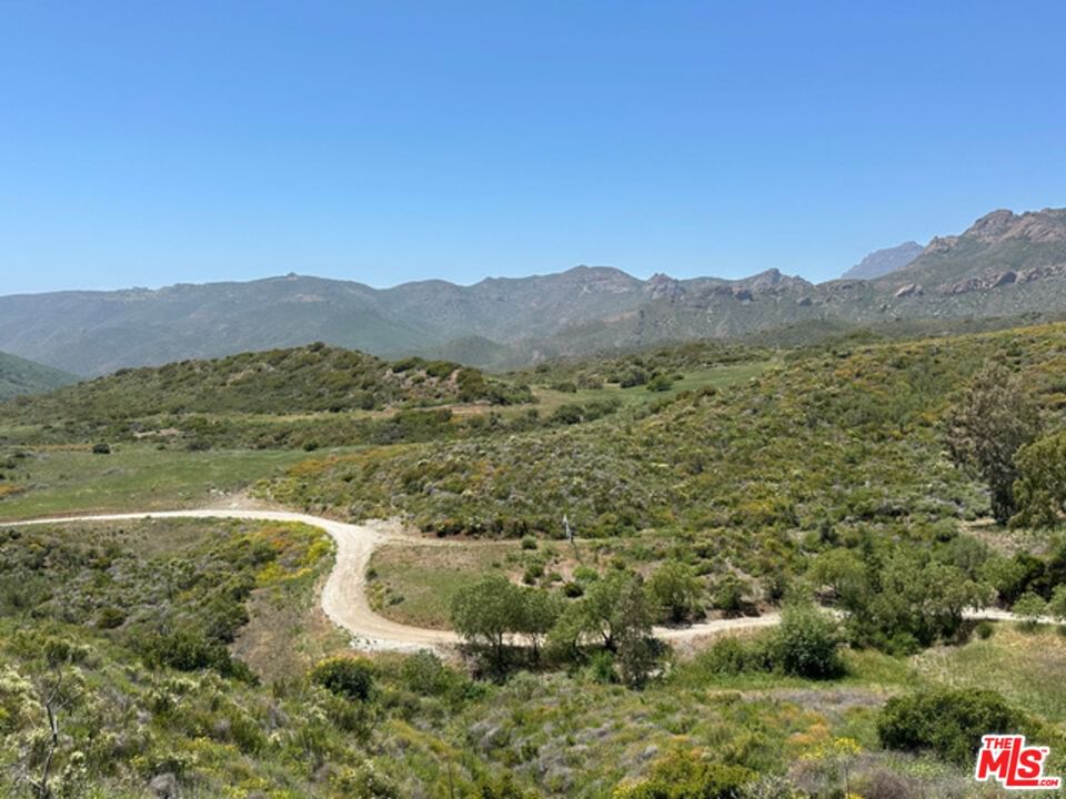 Mulholland photo 5