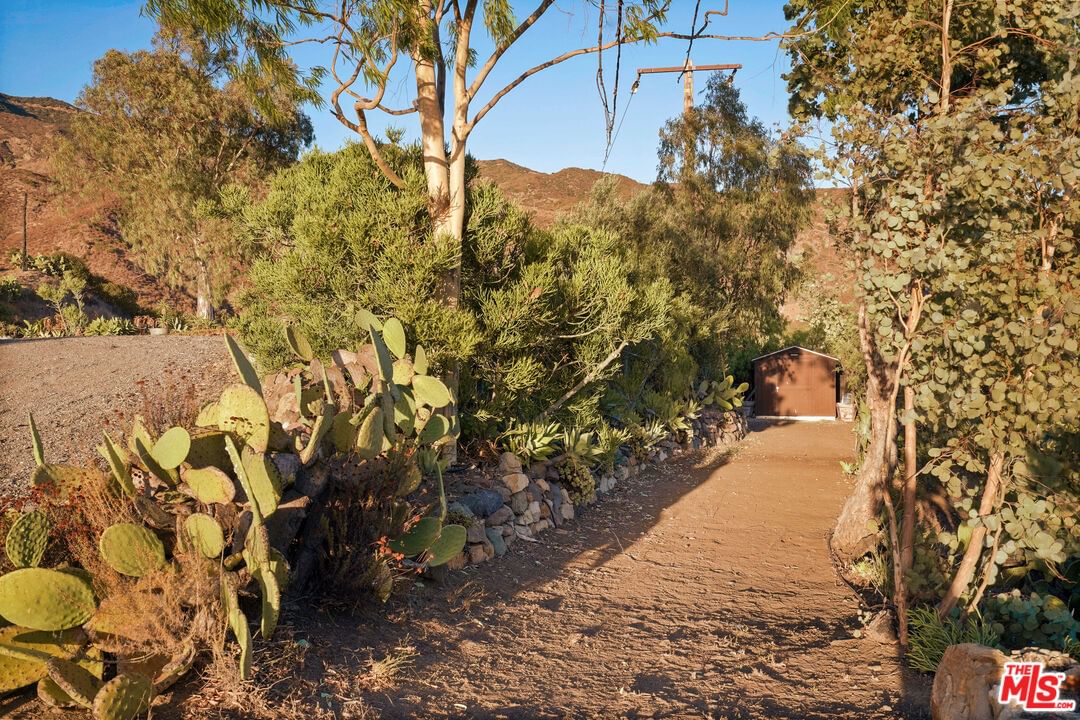 Mulholland photo 7