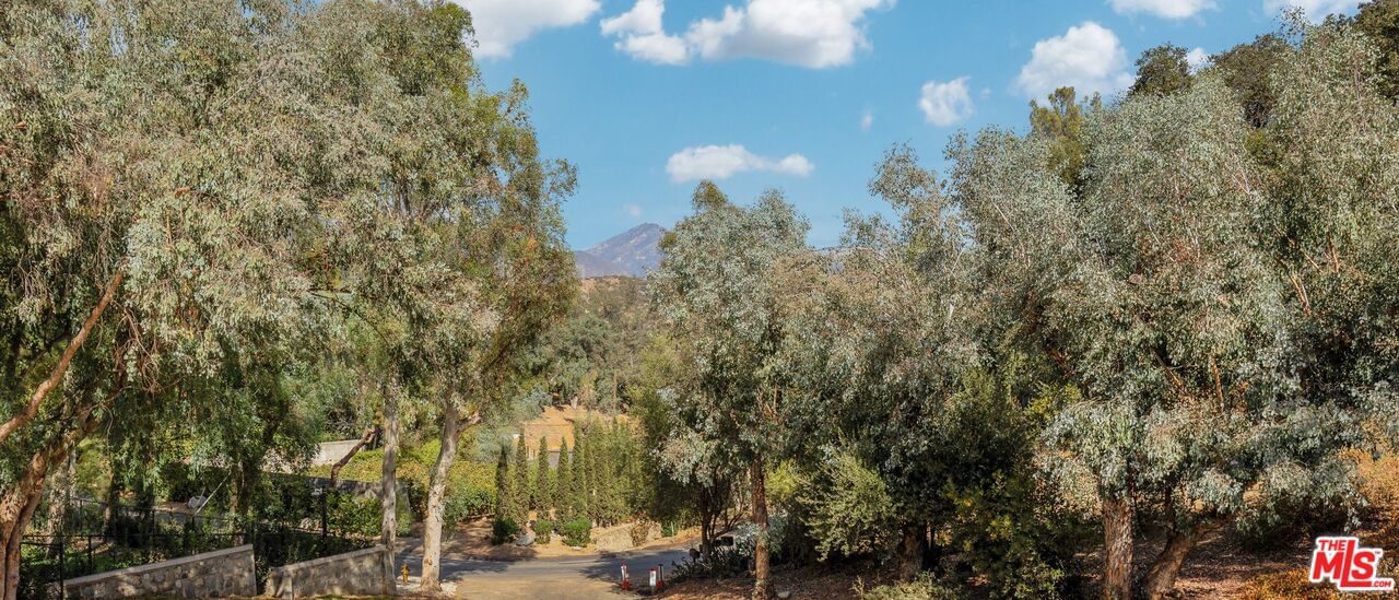 Live Oak Canyon photo 23