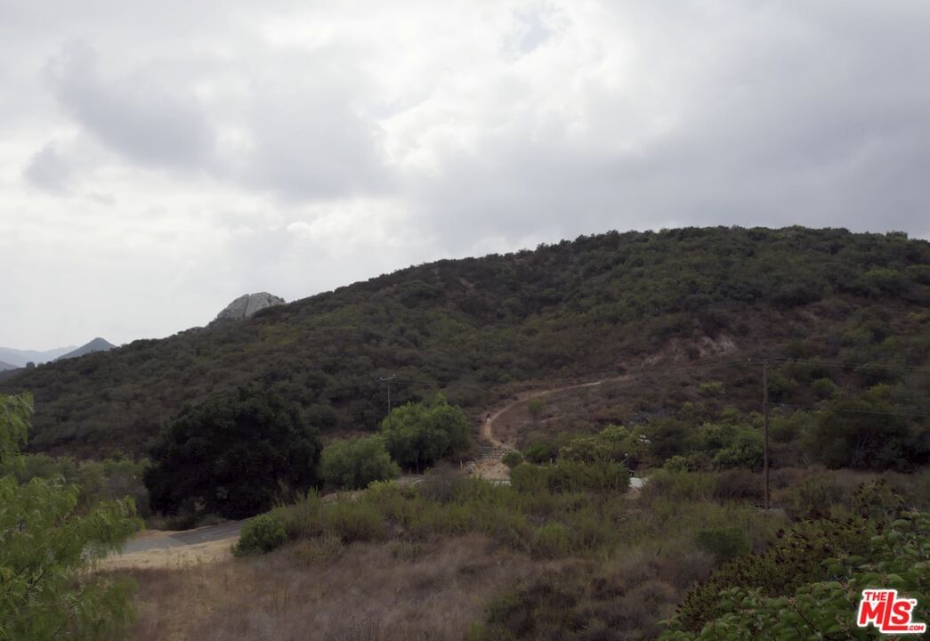 Zuniga photo 20