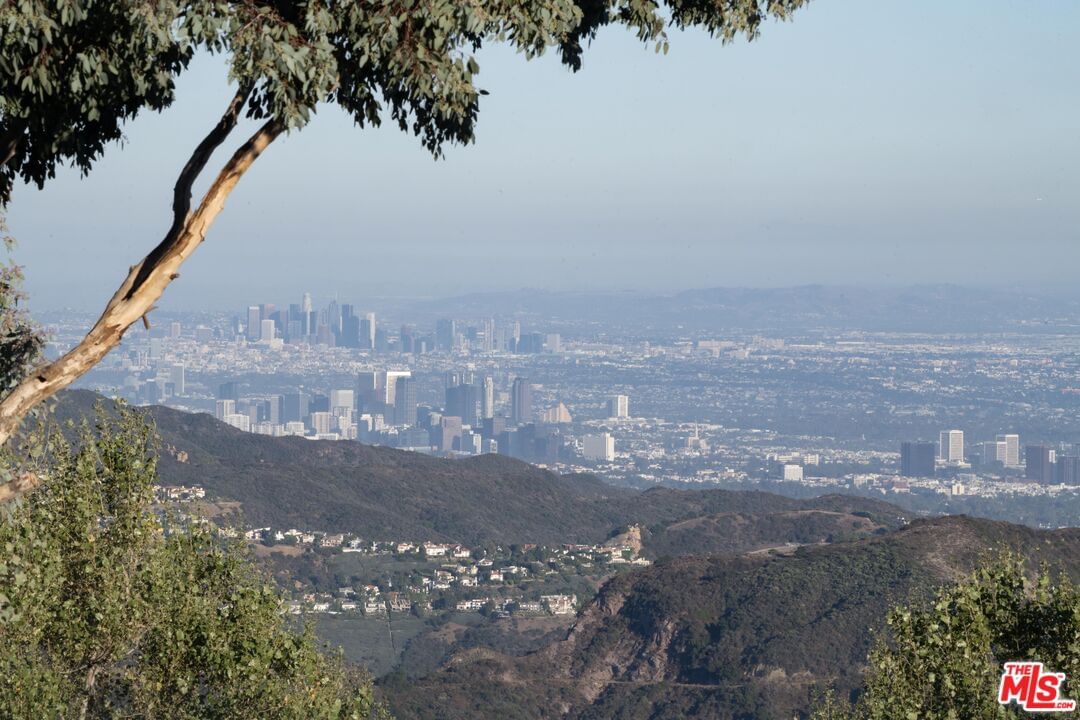 Saddle Peak photo 29