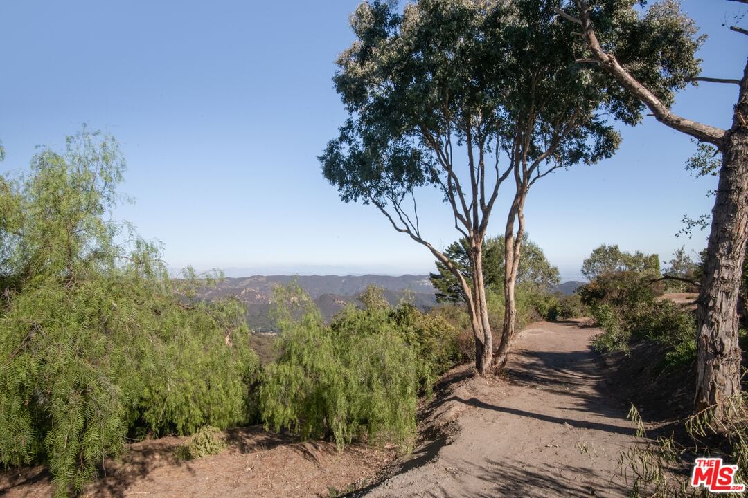 Saddle Peak photo 62