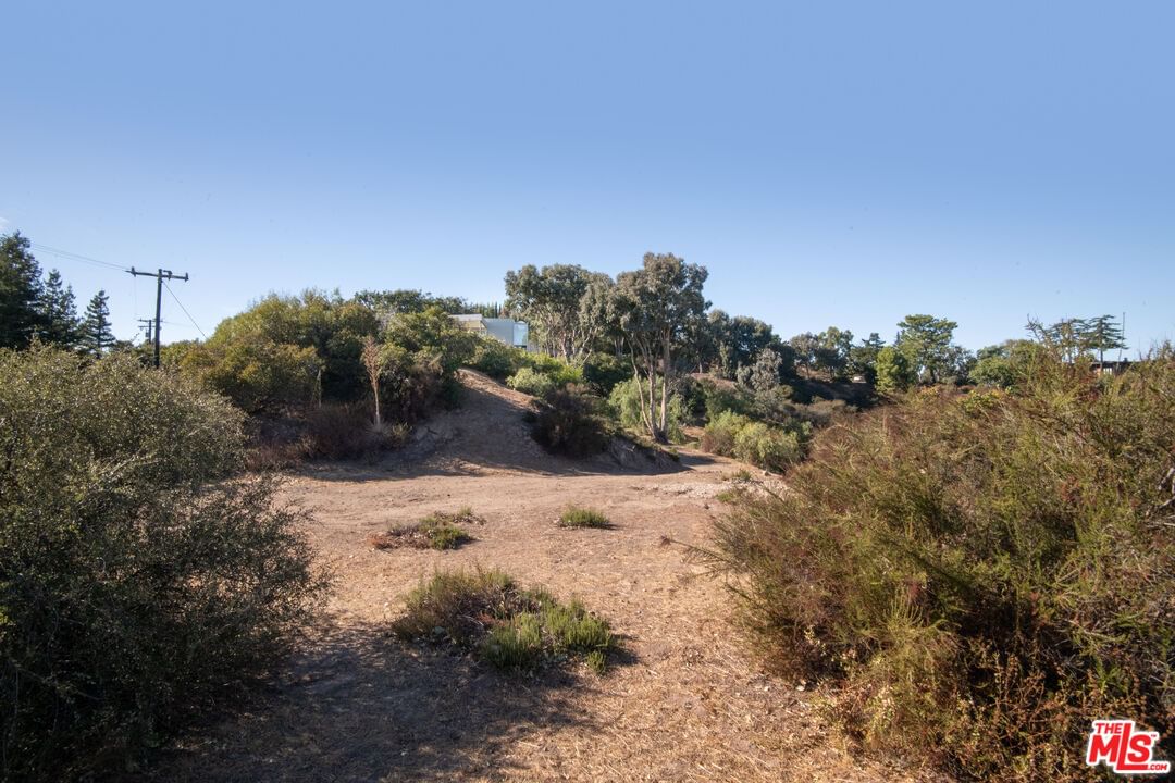 Saddle Peak photo 63
