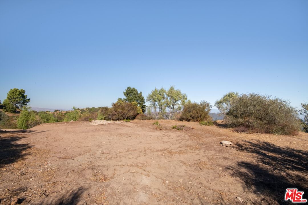 Saddle Peak photo 64