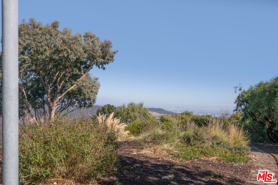 Saddle Peak photo 65