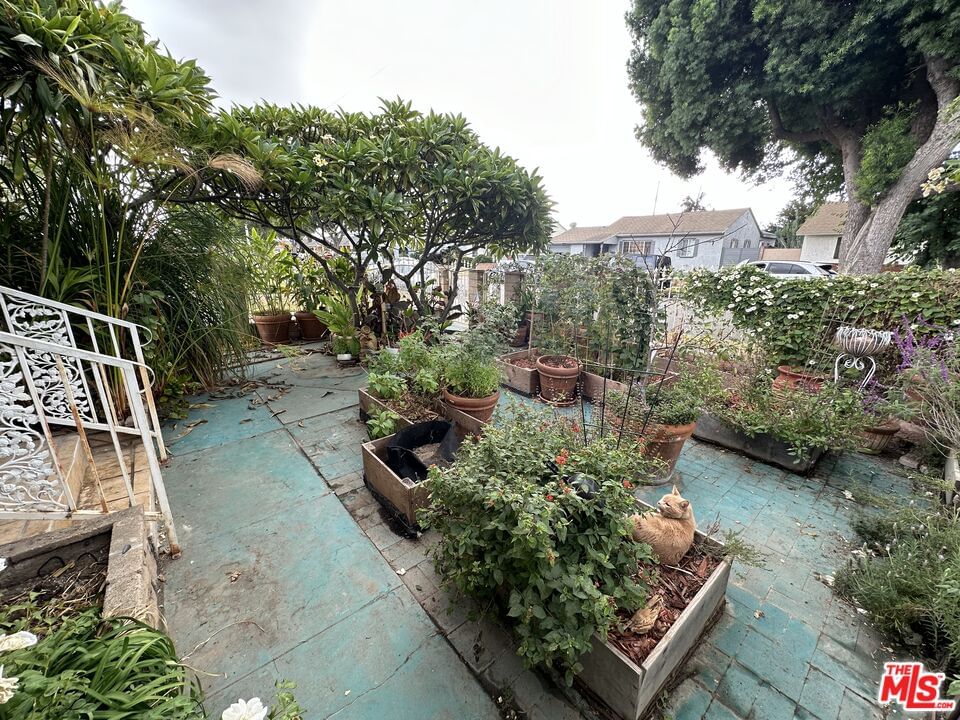 Lindale photo 2