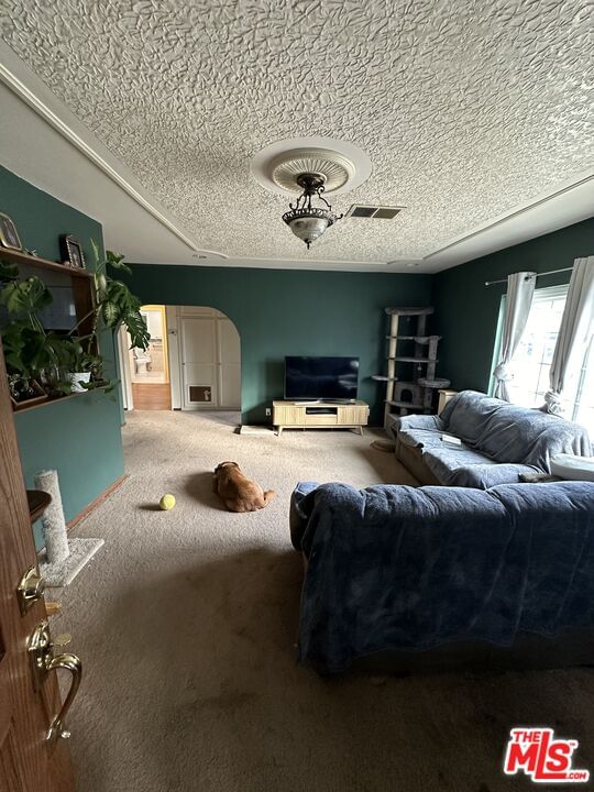 Lindale photo 5