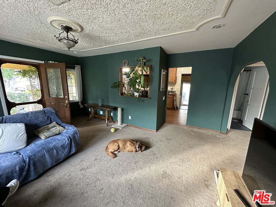 Lindale photo 8